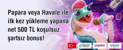 💎 %100 Hoş Geldin Bonusu promotion image